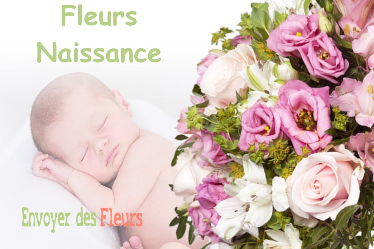 lIVRAISON FLEURS NAISSANCE à AURAGNE